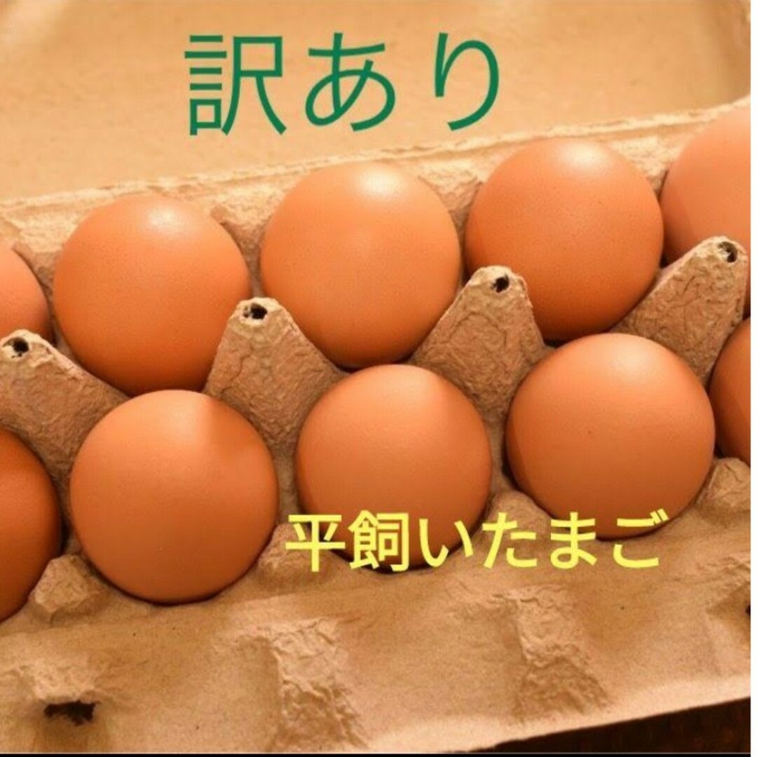 訳あり　平飼い卵10個入り3パック　国産　新鮮　産みたて 食品/飲料/酒の食品(野菜)の商品写真