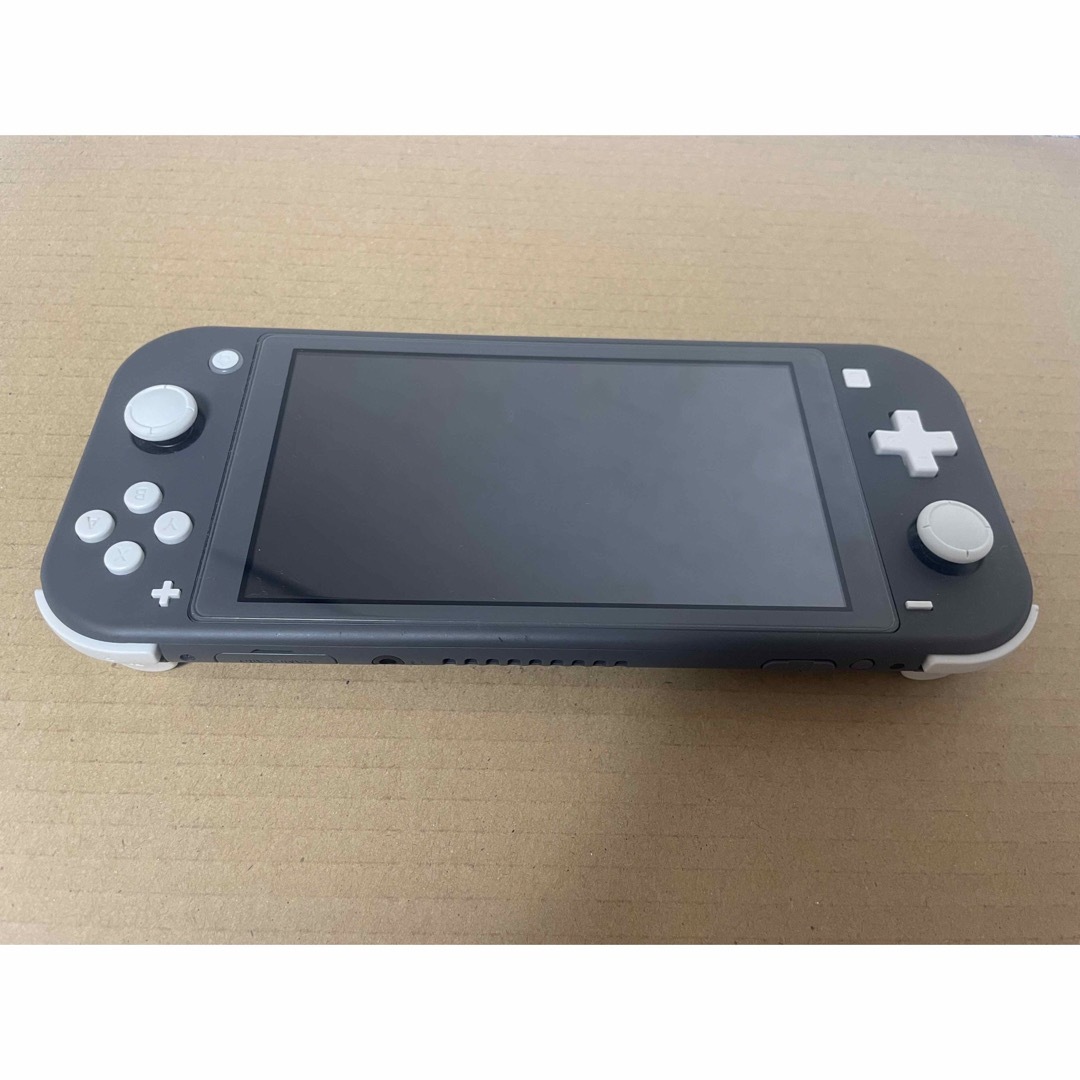 【値下げ中】Nintendo Switch Light GLAY