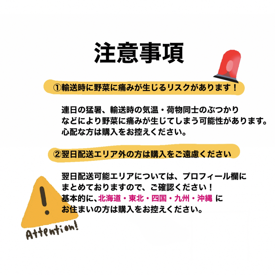 ④【組み合わせ自由！】無農薬野菜詰合せ★宅急便60サイズ 食品/飲料/酒の食品(野菜)の商品写真