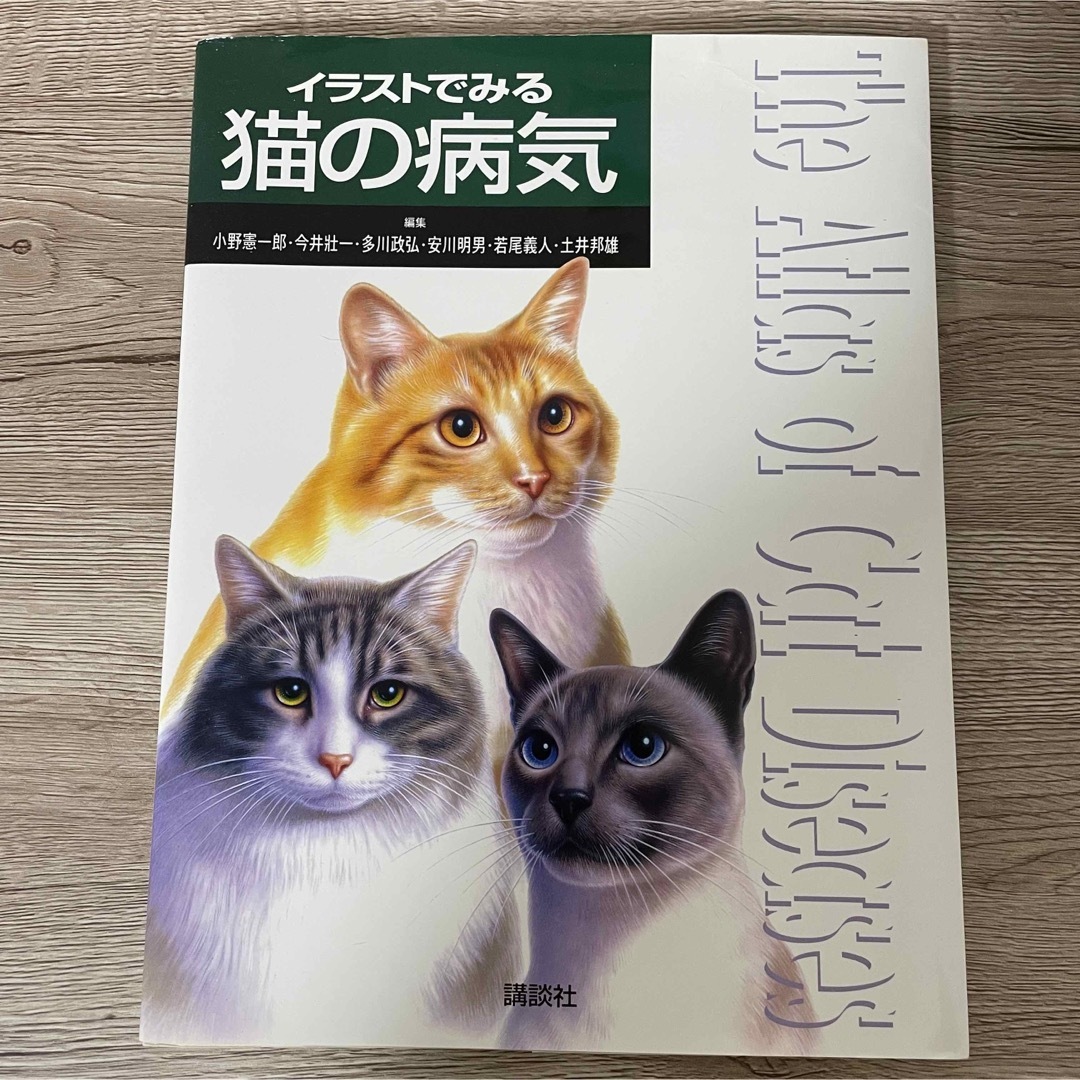 イラストでみる猫の病気 エンタメ/ホビーの本(住まい/暮らし/子育て)の商品写真