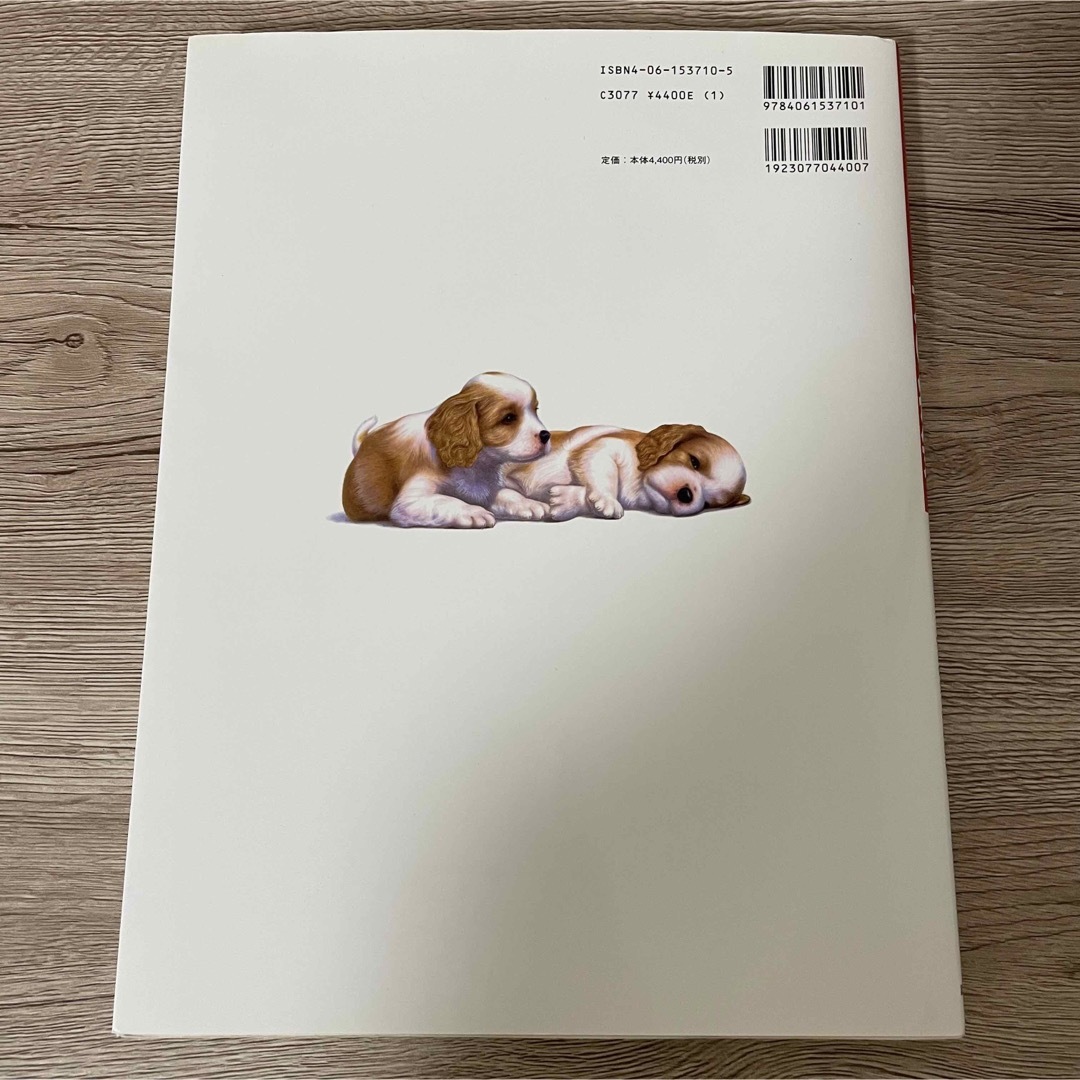 イラストでみる犬の病気 エンタメ/ホビーの本(住まい/暮らし/子育て)の商品写真