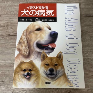 イラストでみる犬の病気(住まい/暮らし/子育て)