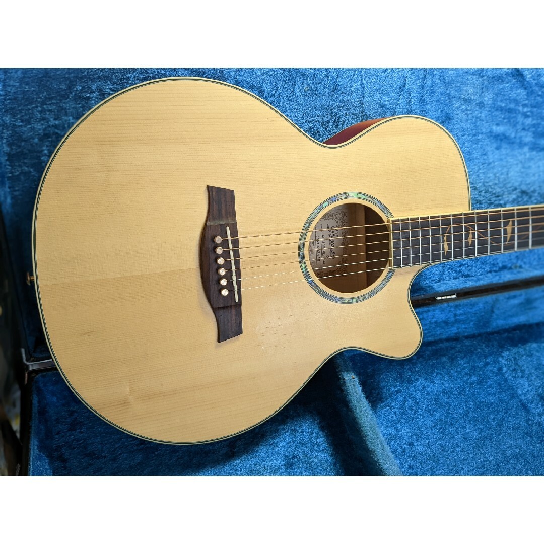 Ibanez AEG40SE MOD 30.2023.7