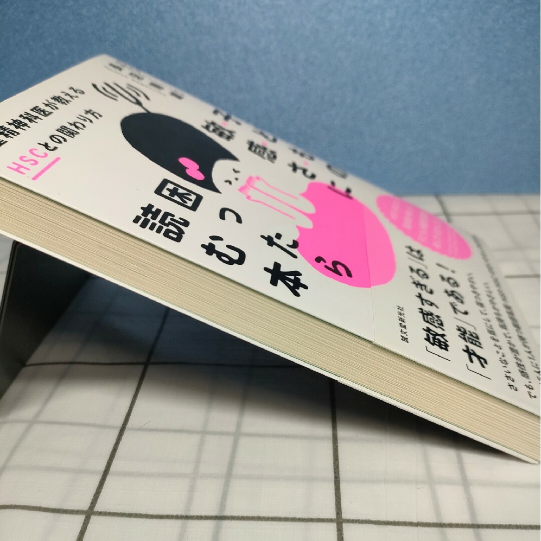 子どもの敏感さに困ったら読む本 児童精神科医が教えるHSCとの関わり方 エンタメ/ホビーの雑誌(結婚/出産/子育て)の商品写真