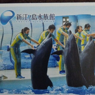 新江ノ島水族館ご招待券×１枚です。(水族館)