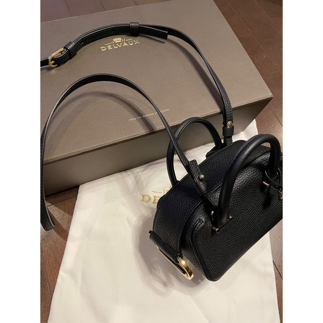 極美品 Delvaux デルヴォー クールボックス ナノ ショルダー バッグ-