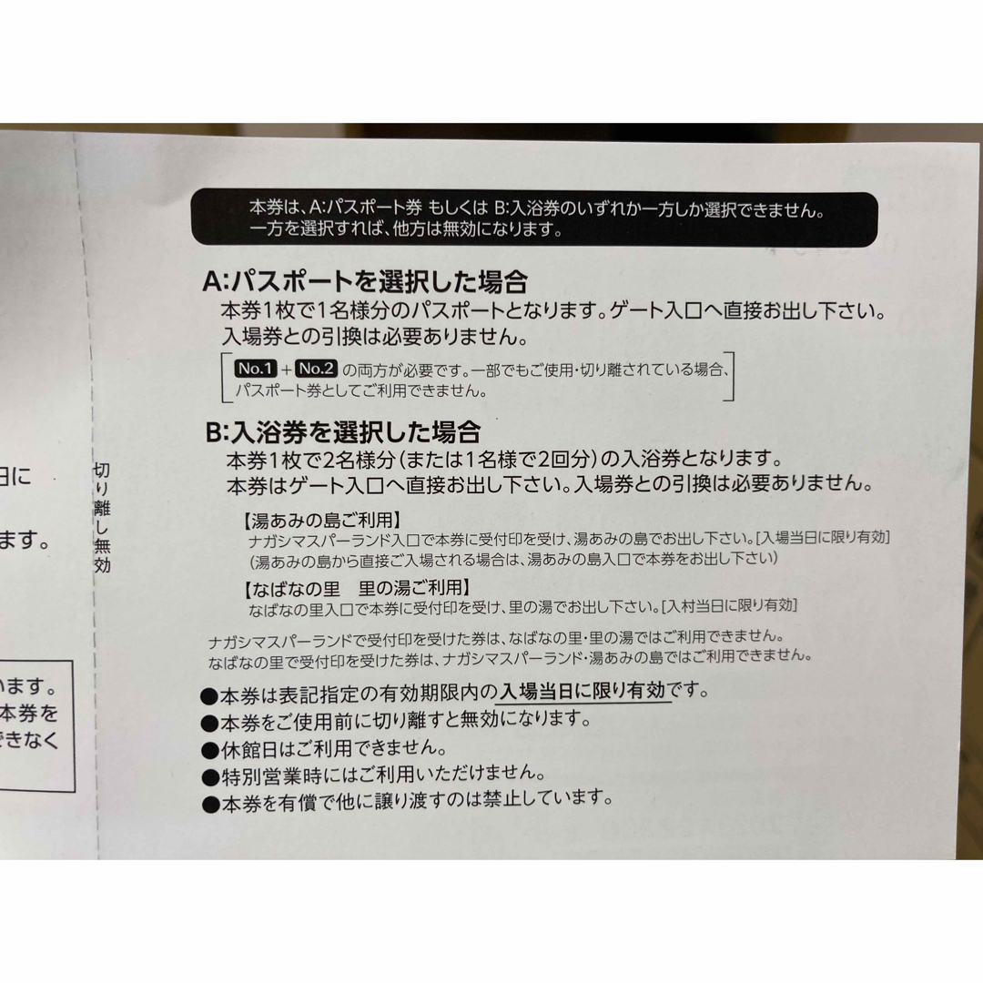 【レイチェル様専用】夏休み必見‼️ナガシマスパーランド パスポート2枚 チケットの施設利用券(遊園地/テーマパーク)の商品写真