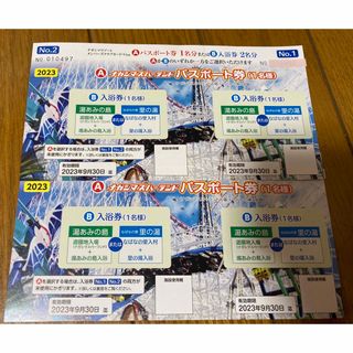 【レイチェル様専用】夏休み必見‼️ナガシマスパーランド パスポート2枚(遊園地/テーマパーク)