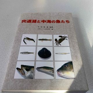 宍道湖と中海の魚たち(趣味/スポーツ/実用)