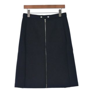 セリーヌ スカートの通販 600点以上 | celineのレディースを買うならラクマ