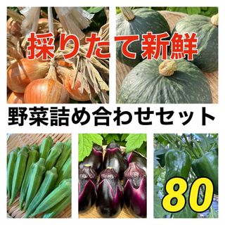 採れたて新鮮お野菜セット‼️(野菜)