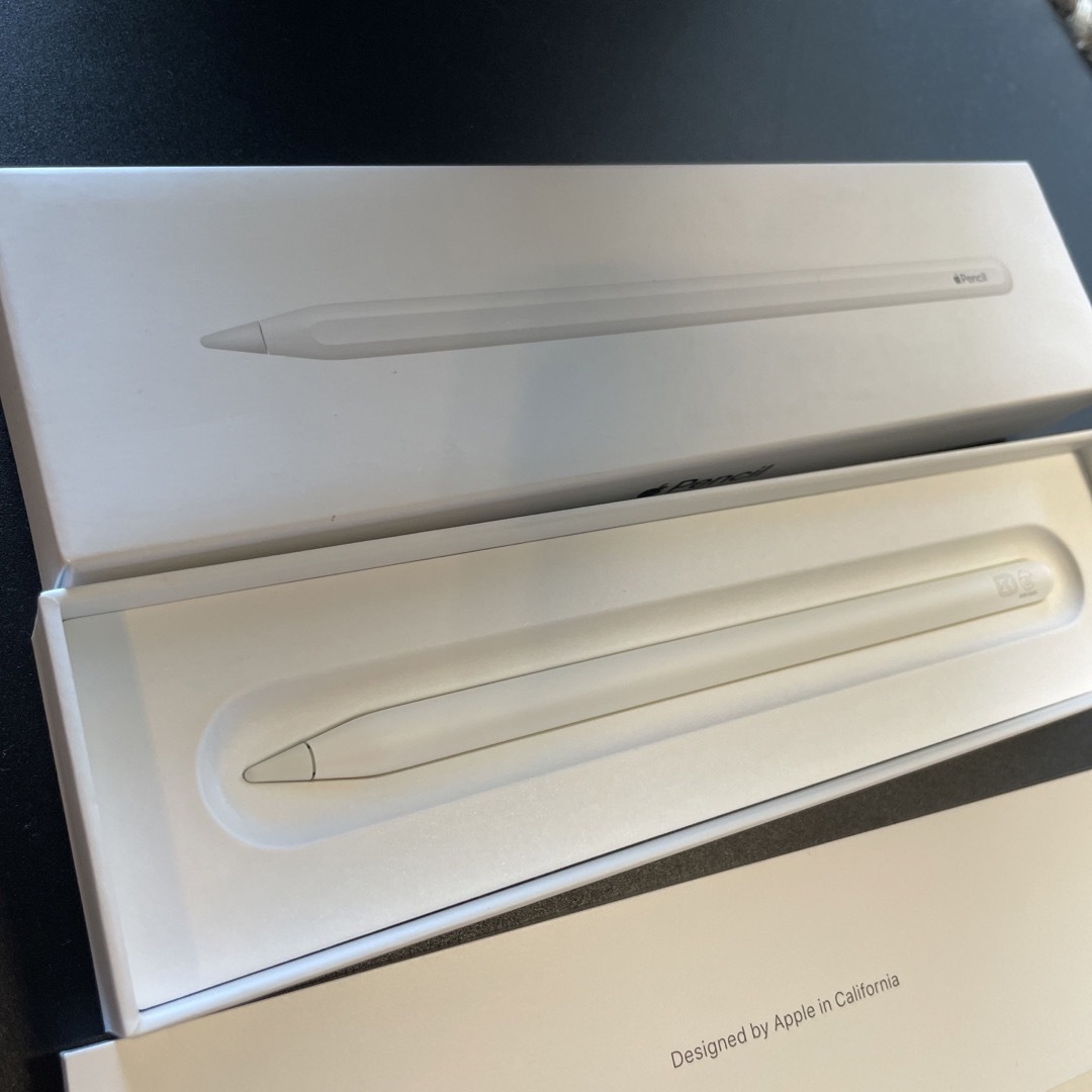 Apple(アップル)のApple Japan(同) iPadPro Apple Pencil 第2世代 スマホ/家電/カメラのPC/タブレット(その他)の商品写真