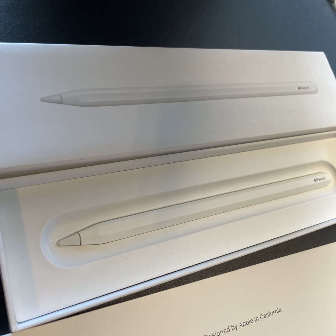 Apple(アップル)のApple Japan(同) iPadPro Apple Pencil 第2世代 スマホ/家電/カメラのPC/タブレット(その他)の商品写真