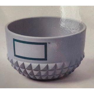 ネイバーフッド(NEIGHBORHOOD)のbotanize pla pot bowl ボタナイズ 鉢 非売品 観葉植物(プランター)