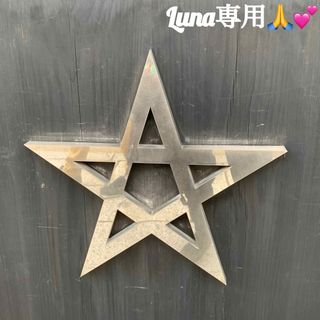 luna様専用(その他)