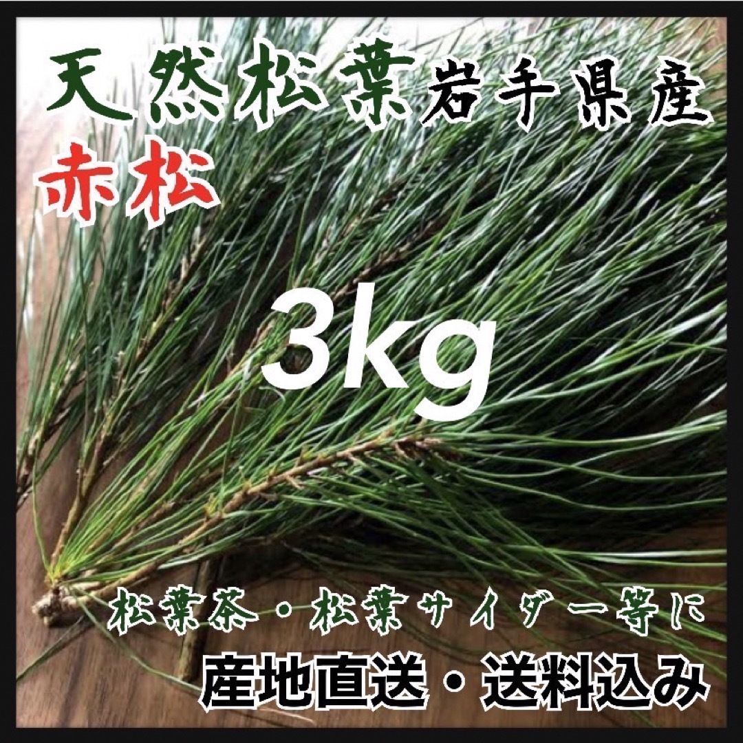 【産地直送松葉】3kg 松葉茶　健康茶　採れたて発送！天然まつば