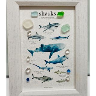 シーグラスアート　shark ジンベイザメetc..(パネル)