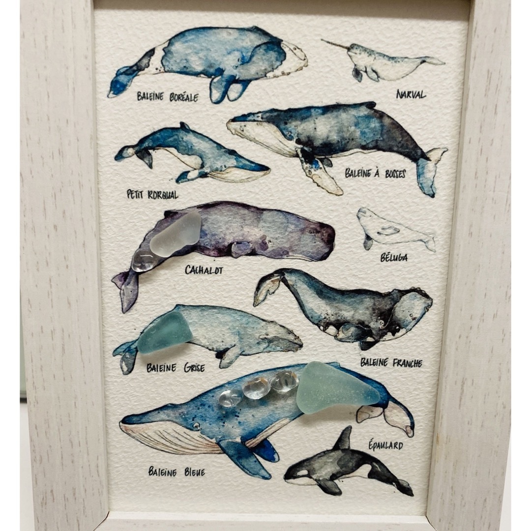シーグラスアート 海の生き物の通販 by ⭐︎Atelier rainbow |ラクマ