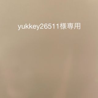 yukkey26511様専用。ニンテンドー3dsソフト(携帯用ゲームソフト)