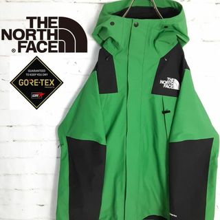 ザノースフェイス(THE NORTH FACE)の最高デザイン!! GORE-TEX ノースフェイス マウンテンパーカー グリーン(マウンテンパーカー)