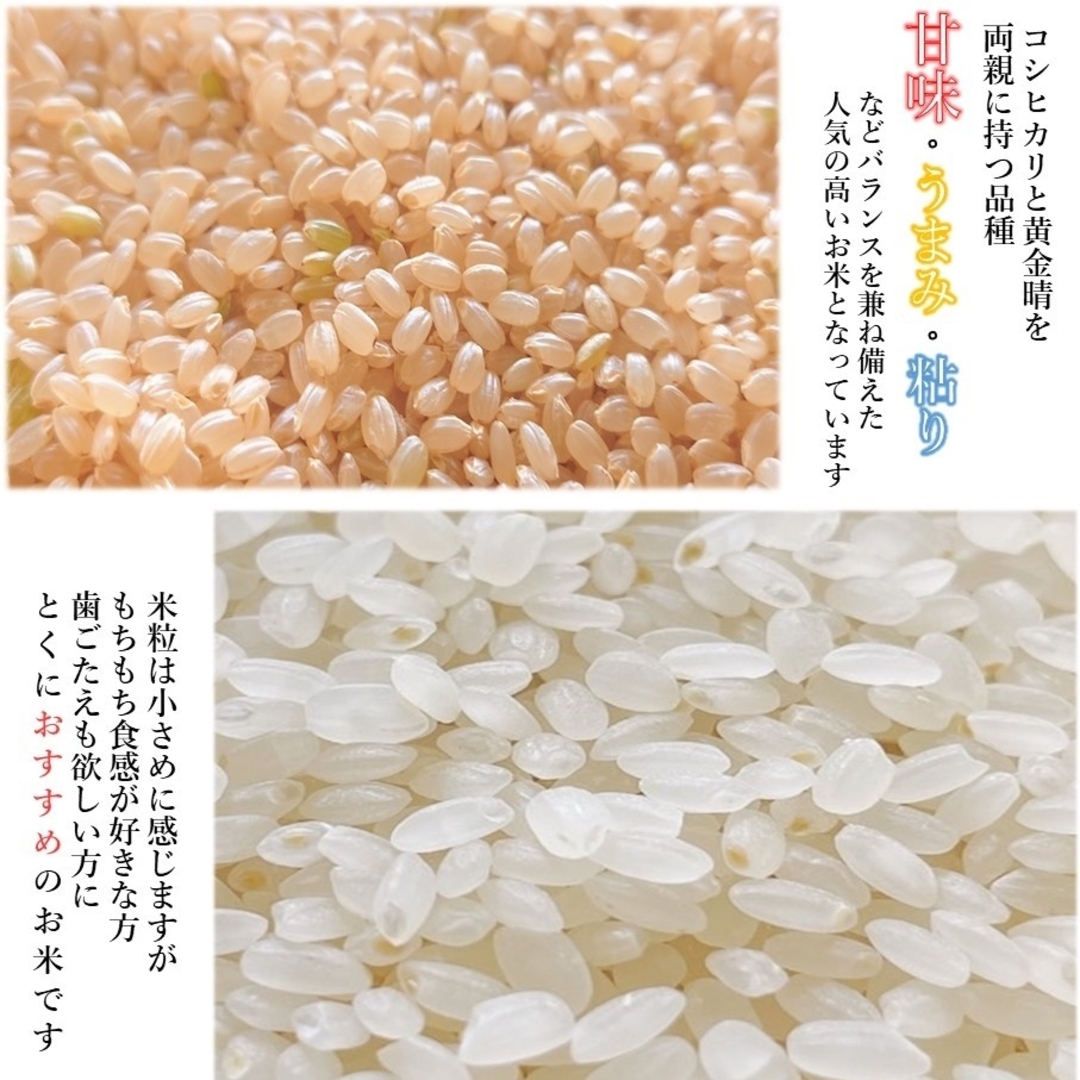 お米　白米　4年産　20kg　ヒノヒカリ　米/穀物