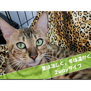 HOT&COOL　猫ハンモック(かご/ケージ)