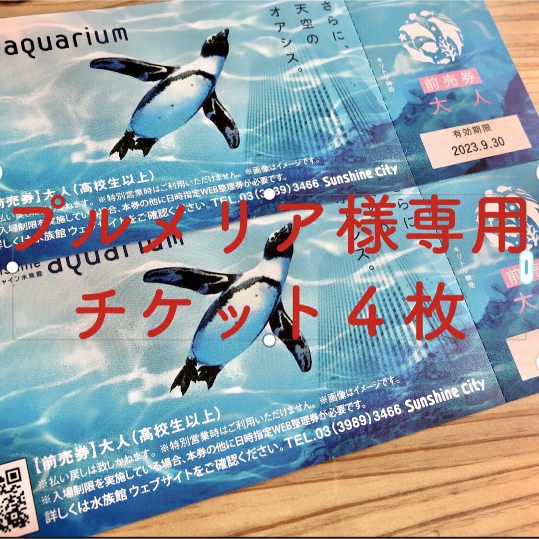 サンシャイン水族館 プルメリア様専用 チケット 大人4枚の通販 by