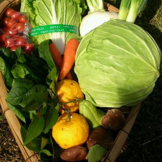 ☆どっさり120サイズ☆岡山産 新鮮野菜(野菜)