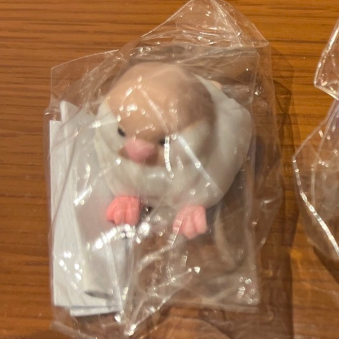 ことりおみくじ エンタメ/ホビーのおもちゃ/ぬいぐるみ(キャラクターグッズ)の商品写真