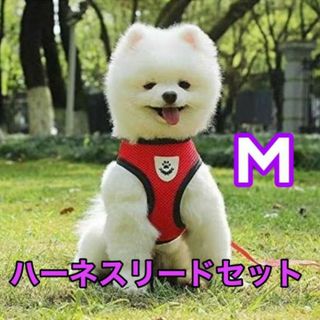 新品】犬の通販 150,000点以上（その他） | お得な新品・中古・未使用