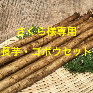 北海道ニシボふぁ〜む長芋・ゴボウセット2・1kg(野菜)