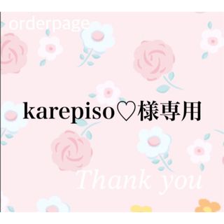 karepiso♡様専用(つけ爪/ネイルチップ)