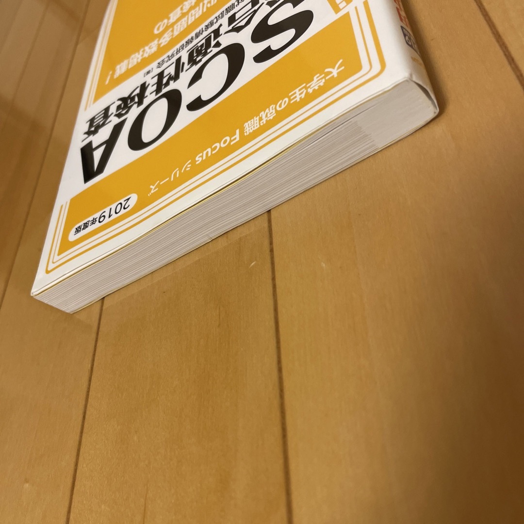 書き込み無し中古明快!SCOA総合適性検査 2019年度版公務員