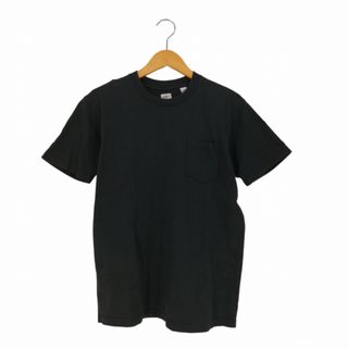 アナトミカ(ANATOMICA)のANATOMICA(アナトミカ) USA製 クルーネックポケットTシャツ メンズ(Tシャツ/カットソー(半袖/袖なし))