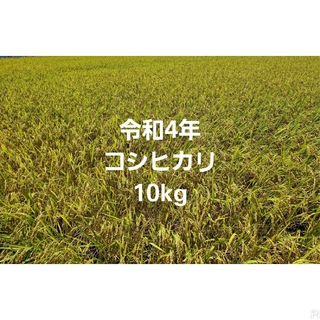 令和4年 コシヒカリ 10kg (精米)  2(米/穀物)