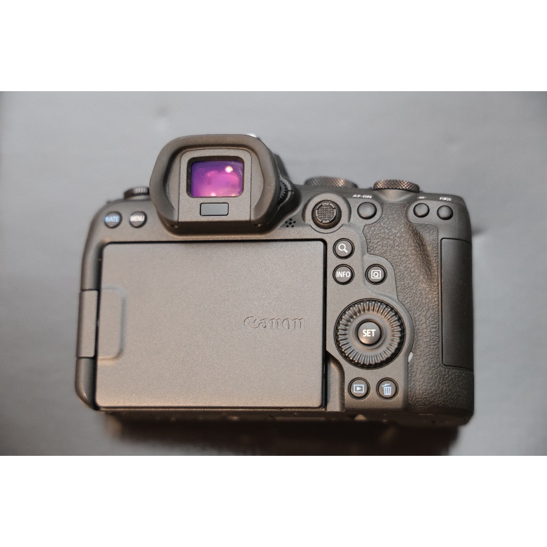 Canon キヤノン R6 シャッター回数4000回以下 美品 ストラップ未使用