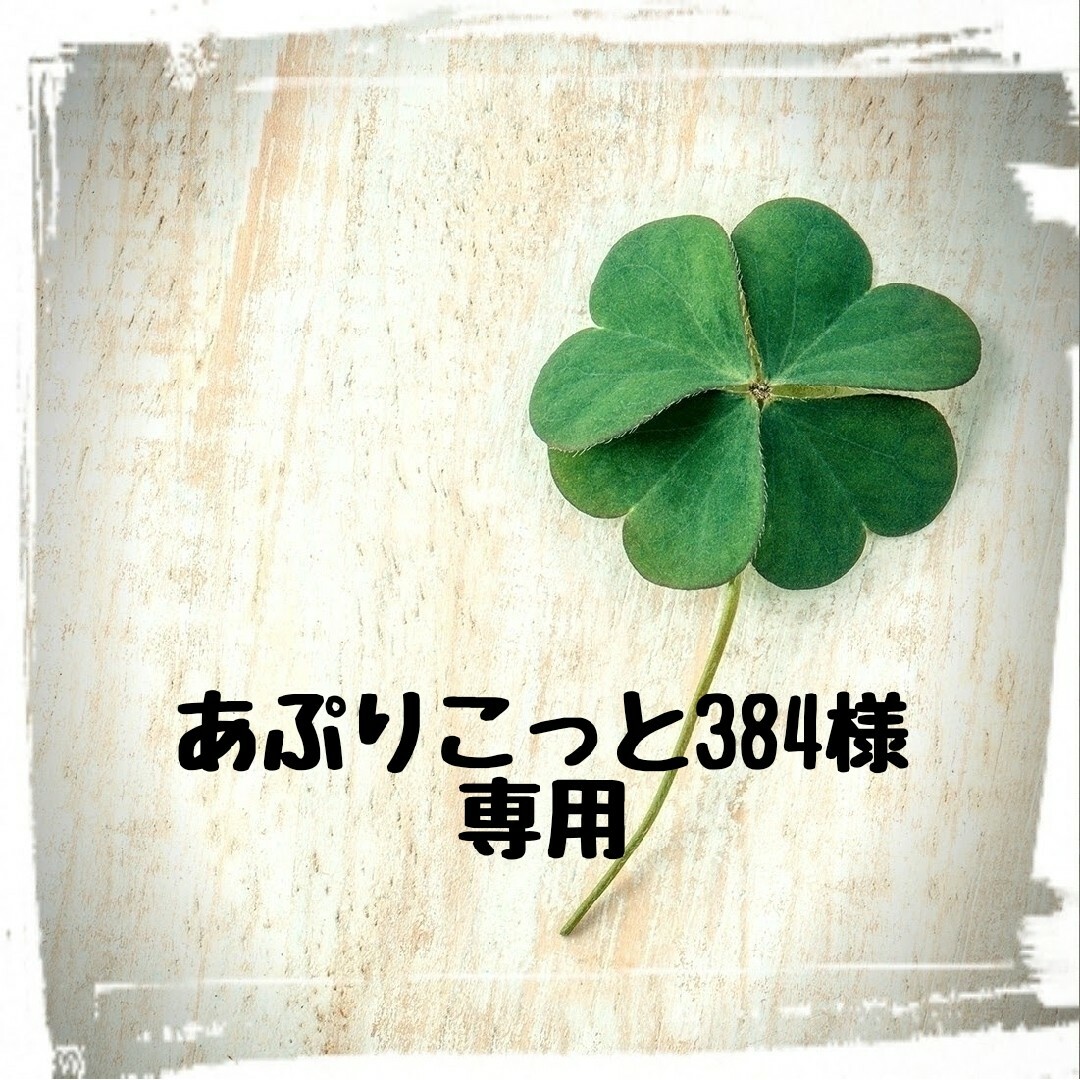 あぷりこっと384様専用】の通販 by さくらんぼ♪'s shop|ラクマ