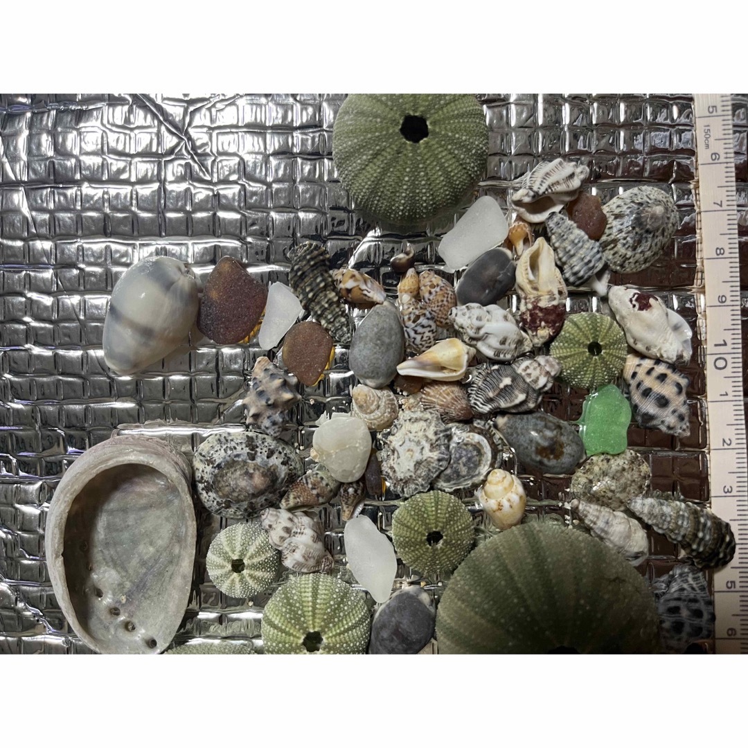 シーグラス、貝殻、小石