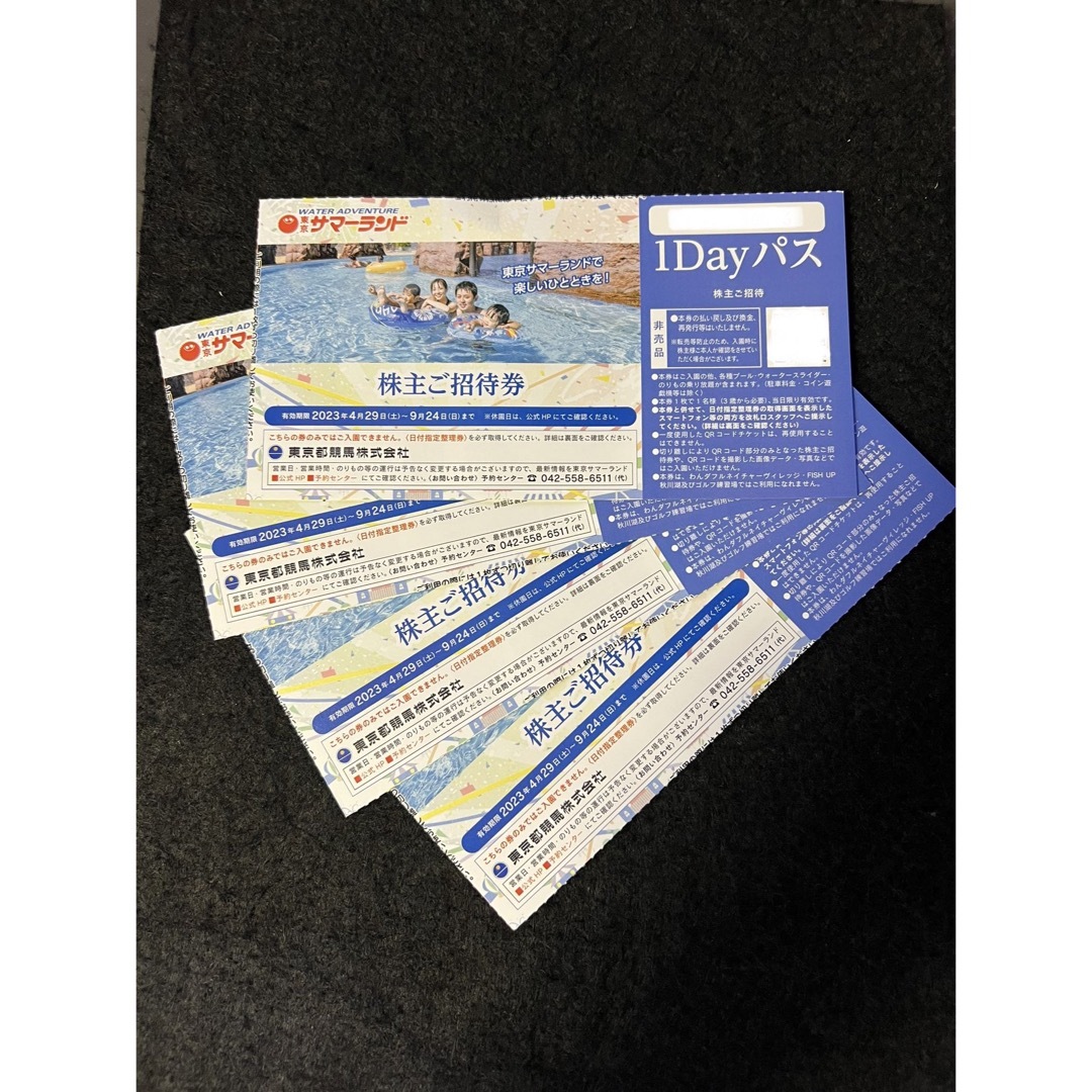 東京サマーランド株主優待券フリーパス券4枚セット プールと遊園地 チケットの施設利用券(プール)の商品写真