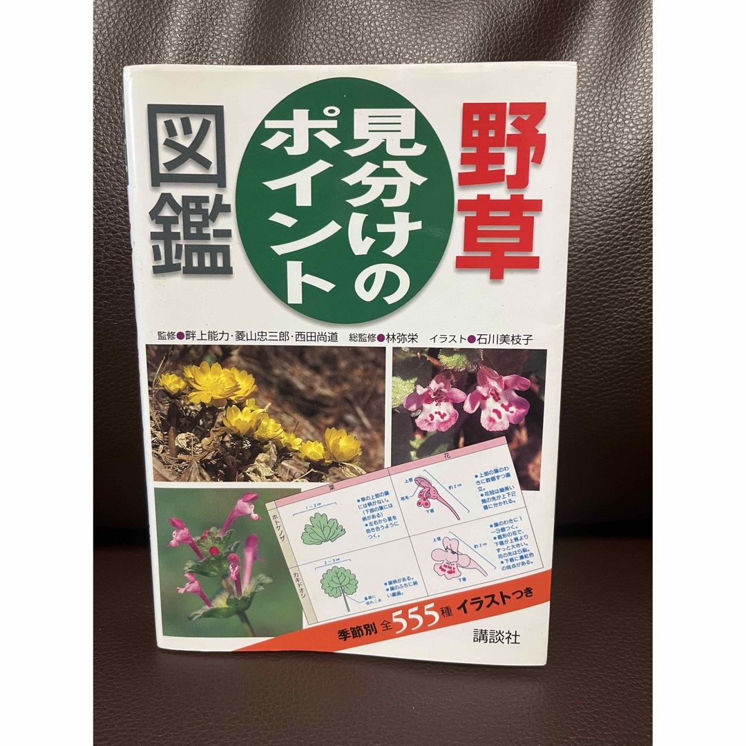 野草見分けのポイント図鑑 エンタメ/ホビーの本(住まい/暮らし/子育て)の商品写真