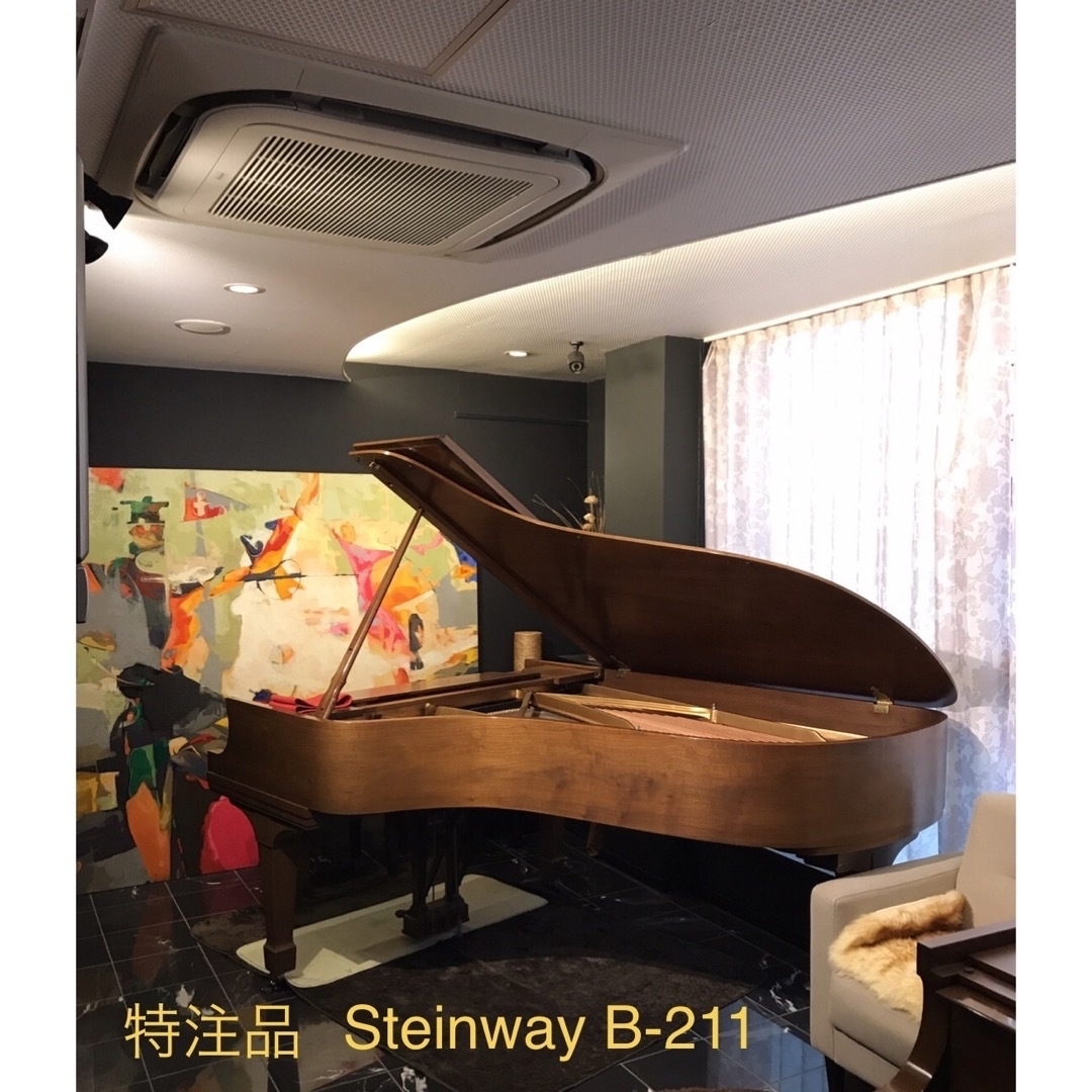 2時間Steinway M 170 練習室利用券　スタインウェイ 予約必須 チケットの優待券/割引券(宿泊券)の商品写真