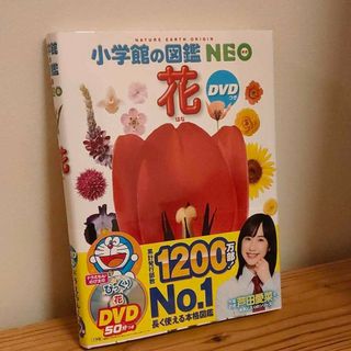 ショウガクカン(小学館)の小学館の図鑑 NEO 花 DVDなし(絵本/児童書)