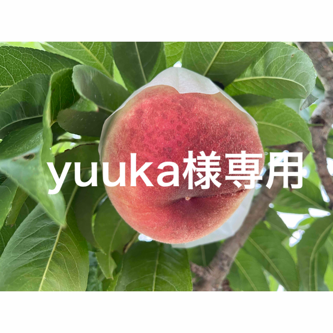 yuuka専用