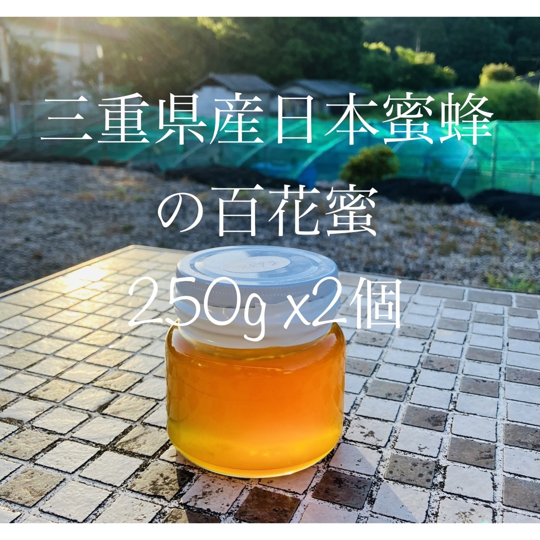 【8月限定値下価格】三重県産日本蜜蜂の百花蜜・伊勢はちみつ 250g以上x2個 食品/飲料/酒の食品(調味料)の商品写真