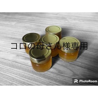 クロガネモチ蜜120g １０本送料無料(その他)