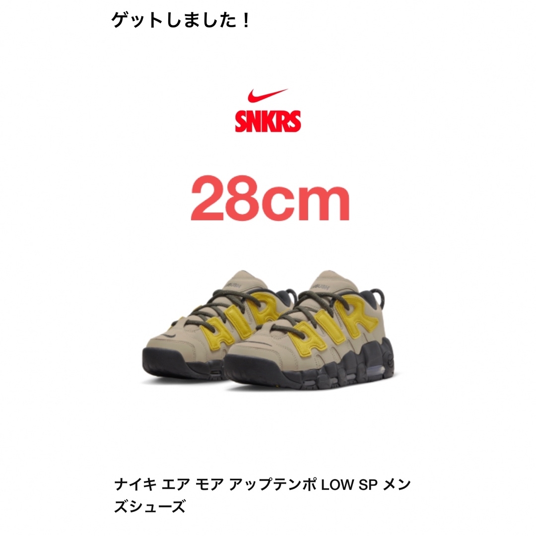 ナイキ　エア　モア　アップテンポLOW ×AMBUSH 28cm