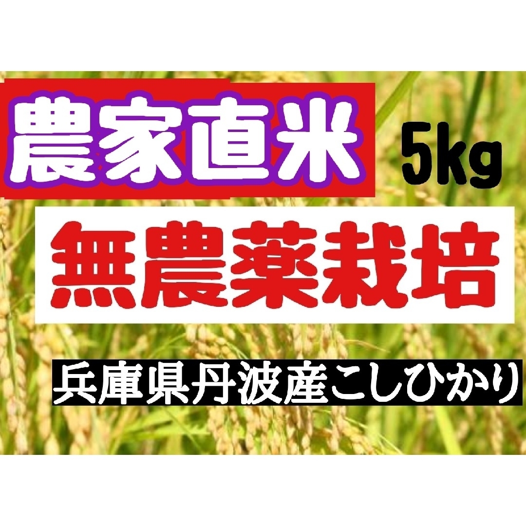 兵庫県丹波産こしひかり玄米10kg✕2袋(令和4年産)-