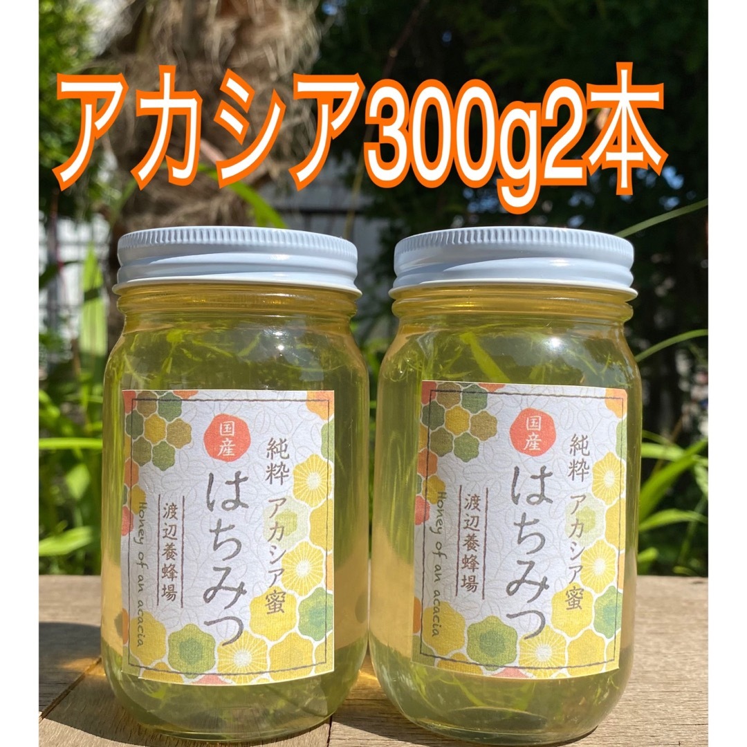 国産はちみつ　アカシア　300g6本