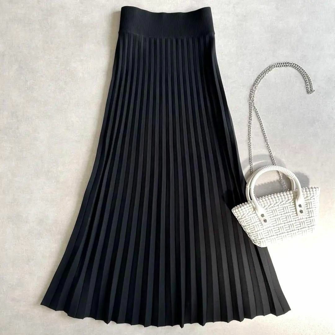 MUSE de Deuxieme Classe / ミューズドゥーズィーエムクラス | 2021SS | Beauty pleated skirt | 38 | ブラック | レディース