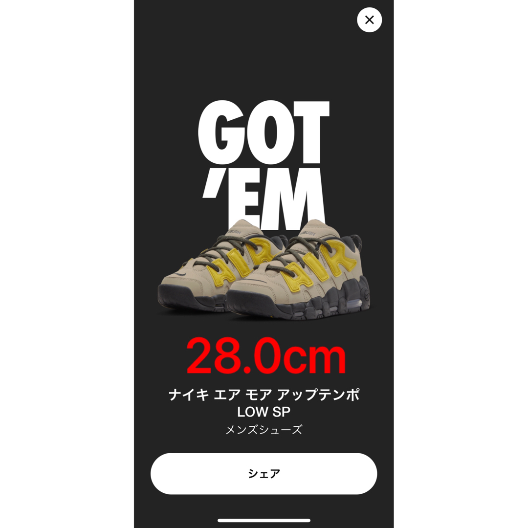 AMBUSH(アンブッシュ)のAMBUSH x NIKE AIR MORE UPTEMPO LOW メンズの靴/シューズ(スニーカー)の商品写真